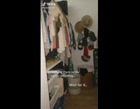 Collab Clips MPUGC2 - Cat hiding in closet jumps at woman looking for it