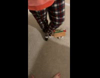 Collab BitchMP - Dog wearing costume 