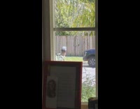 Girl purple shirt bicycle photo shoot across house