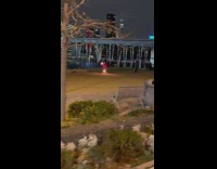 Fire dancer practices near bridge 