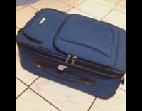 cat enters blue suitcase