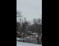 Guy in lake water calls for help 