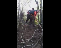 Trapped dog rescued from the deep hole