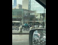 Man feeds pigeons with bread at park