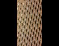 Collab PubityPets - Drone Flies Away and Reveals Tulip Plantation