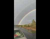 Double rainbow over trees windy rain road