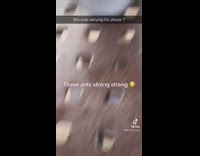 Ants on table lifting and carrying away red iphone