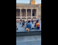 Man violet hoodie skateboards for video shoot