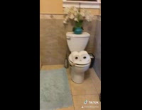Girl pranks mom smoking toilet blue rug