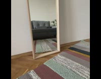 Brown cat mirror illusion magic living room