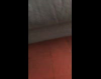 Cat keeps knocking white airpods case over 