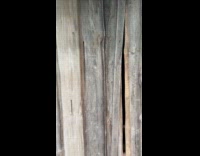 Piano inside cabin plays by itself