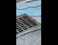 Collab WINY - Rats peek through holes of drainage cover blue pink painted road