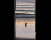 Man Proposes Marriage to Lady from Afar