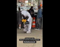 Person dog suit hold sunflowers dance street