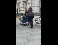 woman push rabbit in blue on cart