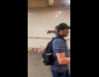 Man grooms pony collection at subway station