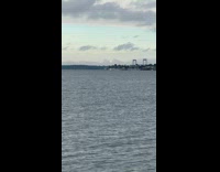 Collab WINY - Filmer spotted shark swims at New Rochelle 