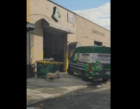 Sheep jump and run on street nyc