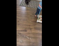 Rice sweep then toddler spreads it again 