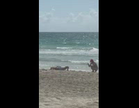 Man blue shorts shirtless push ups exercise beach 
