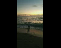 Black husky dog first time at the beach with waves