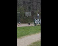 Man gray jacket run public park