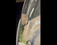 Man rides train bearded dragon in carrier