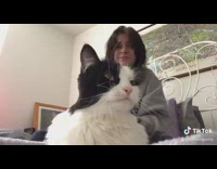 Collab BitchMP - Blue shedding gloves cat bed girl