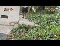 Guy stop motion video game mario neighborhood 