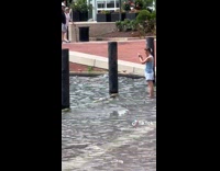 Collab ClipsIG - Woman stand in dirty water of harbor