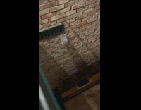 Rat climb down of brick wall edges 