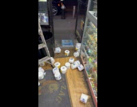 Collab WINY - Squirrel on top of A/C makes mess