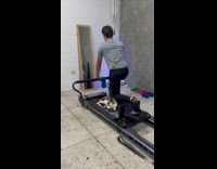 Cat joins guy loves ride pilates reformer