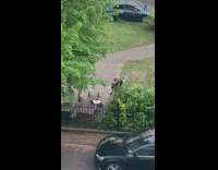 Woman selfie face mask picnic park 