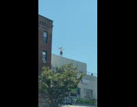 Man white shirt stand on building ledge