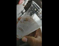 Bee inside a plastic cup with soda remains