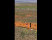 Girl red shirt hold hand orange flowers