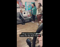 Collab Clips MPUGC2 - Little boy cries and meets little sister