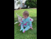 Dog rolling on grass kicks baby fail