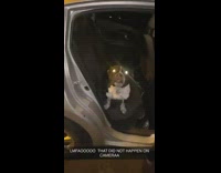 Dog gets out car runs away guy