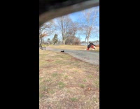 Owner falls running with dog