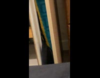 Woman catches cat stealing charging cord