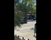 Girl sticks body out black car window