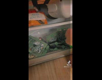 Guy opens mini fridge and gets snacks you sign