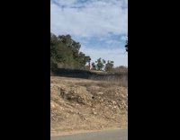 Man in white jacket tiktok dance at Griffith Park