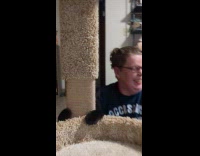 Black cat grab post instead of scratching