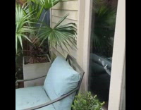 Black white cat grey basket tower door 