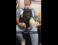 Woman subway backpack face doll in backpack