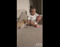 Baby Smells and Kisses Dog on Couch